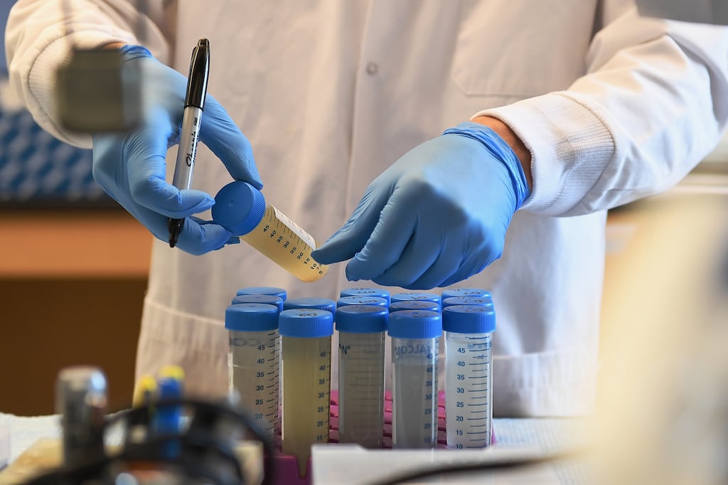 Ireland contributes under €200 in research expenditure per inhabitant per year, well below the European average of €275 per person, and just behind Italy at €230. File photograph: Michael B. Thomas/The New York Times