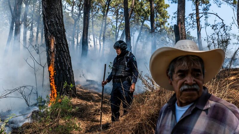 Workers try to contain a bush fire, lit by rival cartels to block access to a road used as an important escape route into the mountains in Uruapan, Mexico. Photograph: Daniel Berehulak/New York Times
