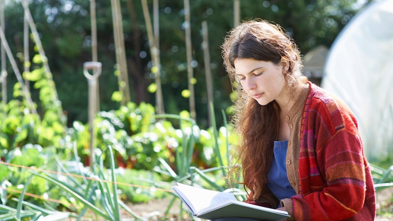 The 10 best gardening books of 2025