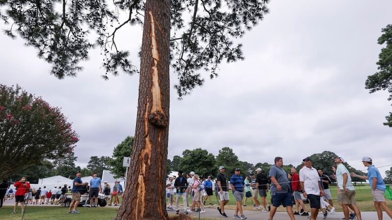 Spectators pass by the lightning-scarred pine tree near the 15th green   at the East Lake Golf Club in Atlanta, Georgia, US, on Sunday. Photograph: Erik S Lesser/EPA