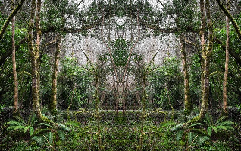 195th RHA Annual Exhibition: Reverberations, by Agata Stoinska. Courtesy of the artist