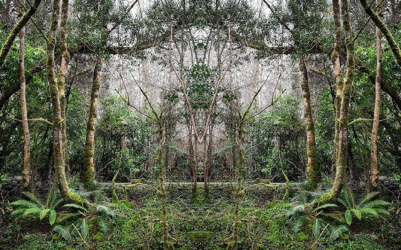 195th RHA Annual Exhibition: Reverberations, by Agata Stoinska. Courtesy of the artist