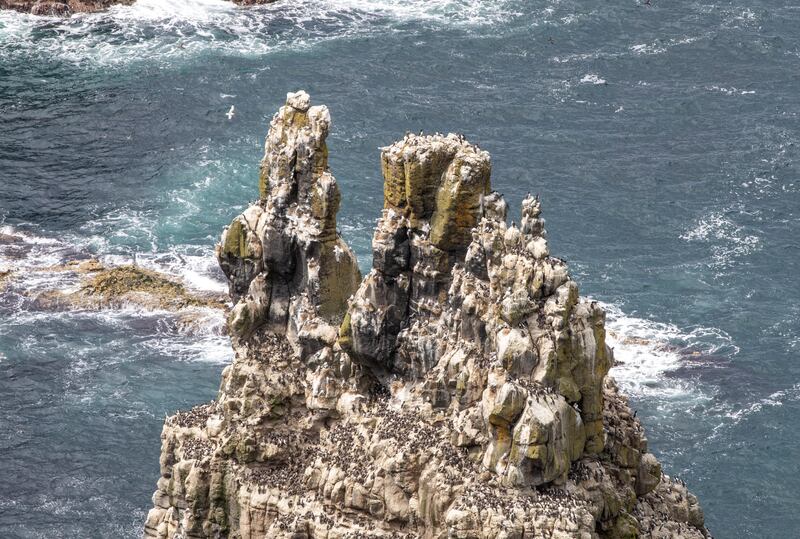 The RSPB bird centre on Rathlin island, where a quarter of a million seabirds live at the sanctuary. Photograph: Paul Faith