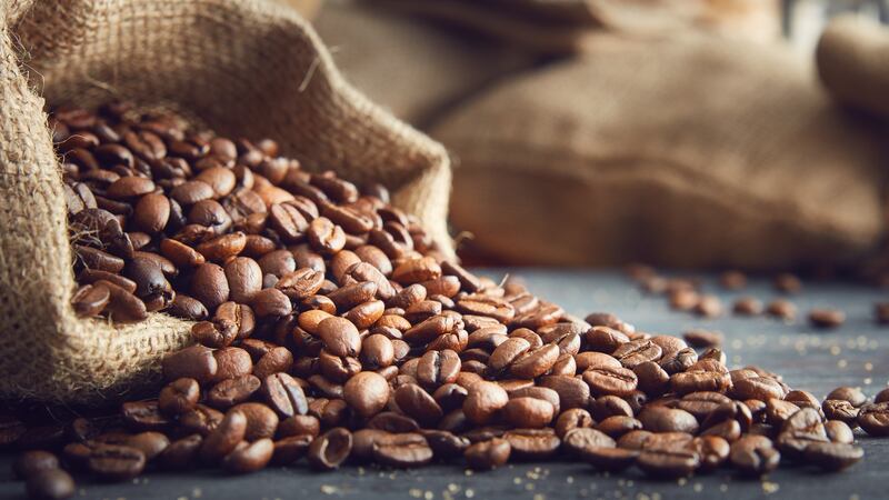 Gesha, a very rare and sought-after coffee, is making its way to Imbibe Coffee Roasters in Dublin 8. Photograph: iStock