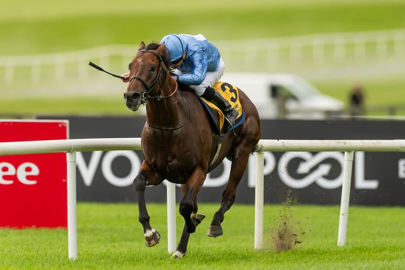 Ryan Moore on Skukuza winning the Colm McLoughlin Celebration Stakes. Photograph: Morgan Treacy/Inpho