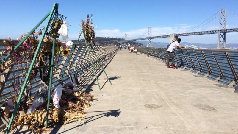 Wilted and fresh flowers mark the spot on Pier 14 where Kate Steinle  was shot in the back   walking arm-in-arm with her father  on July 1st.