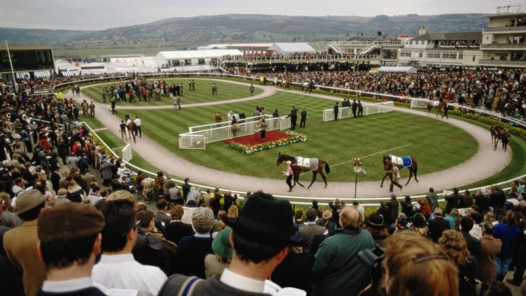 Cheltenham Gold Cup festival meeting takes place in March. Photograph: Getty