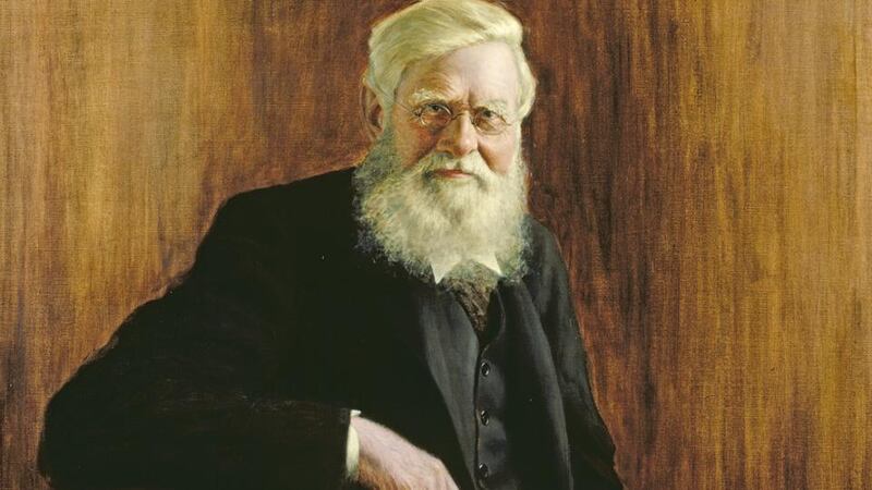 A detail of a portrait of Alfred Russel Wallace (1823-1913) by JW Beaufort. Courtesy of the Natural History Museum, London