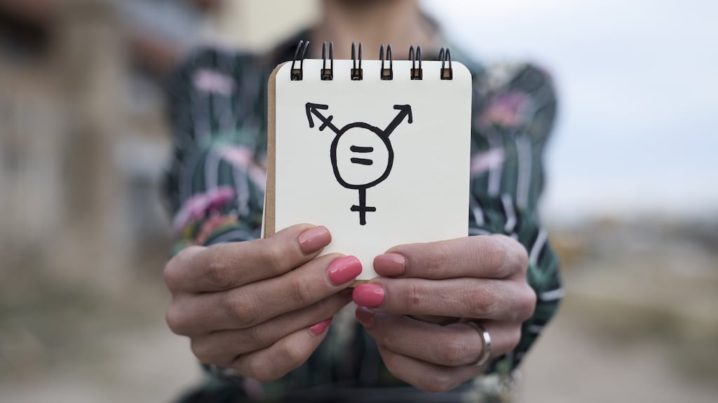 For trans-exclusionary feminists, there’s a lot riding on being able to show that Ireland is not fine at all. Photograph: iStock