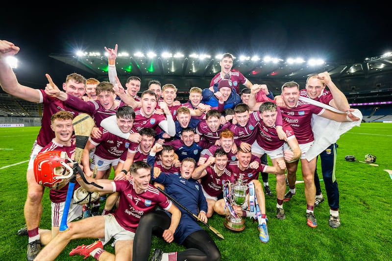 St Martin's after victory over Ballyhale Shamrocks ion the Leinster final. Photograph: James Lawlor/Inpho