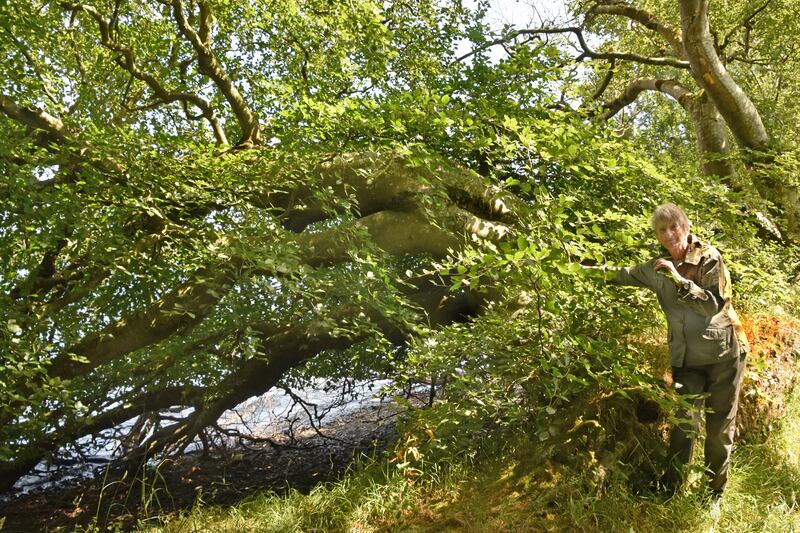 Zoe Devlin with her favourite tree, a beech, near the Vartry reservoir, Co Wicklow