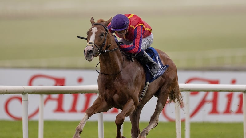 Joseph O’Brien’s Galen set to fly Irish flag in $1m Bahrain Trophy on Friday