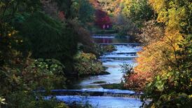 Wicklow property focus: a portrait of the garden county