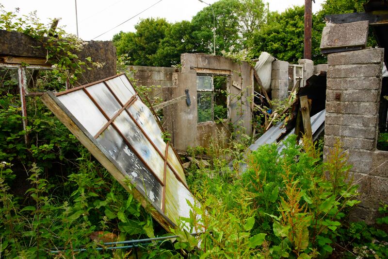 The garden of a derelict council house in Churchfield, Cork city. Photograph: Daragh Mc Sweeney/Provision