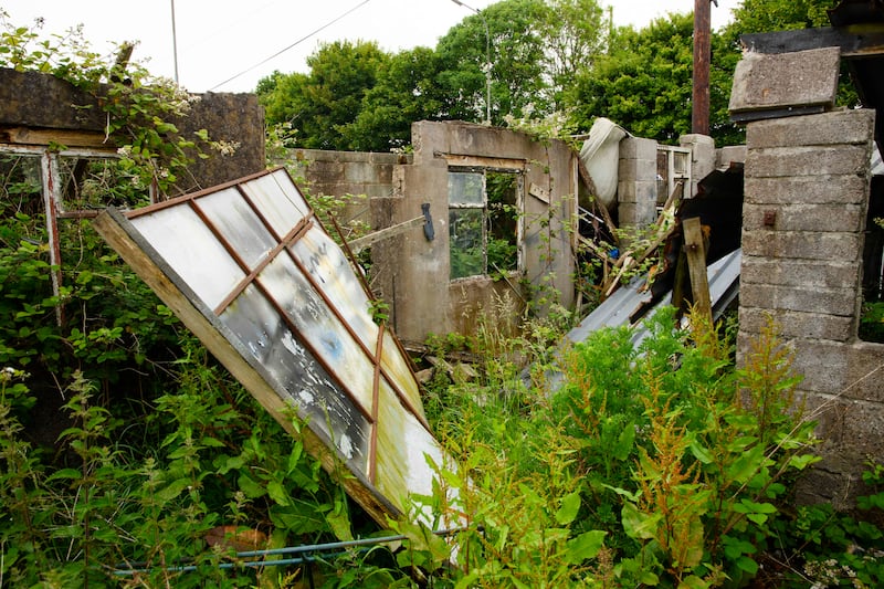 The garden of a derelict council house in Churchfield, Cork city. Photograph: Daragh Mc Sweeney/Provision