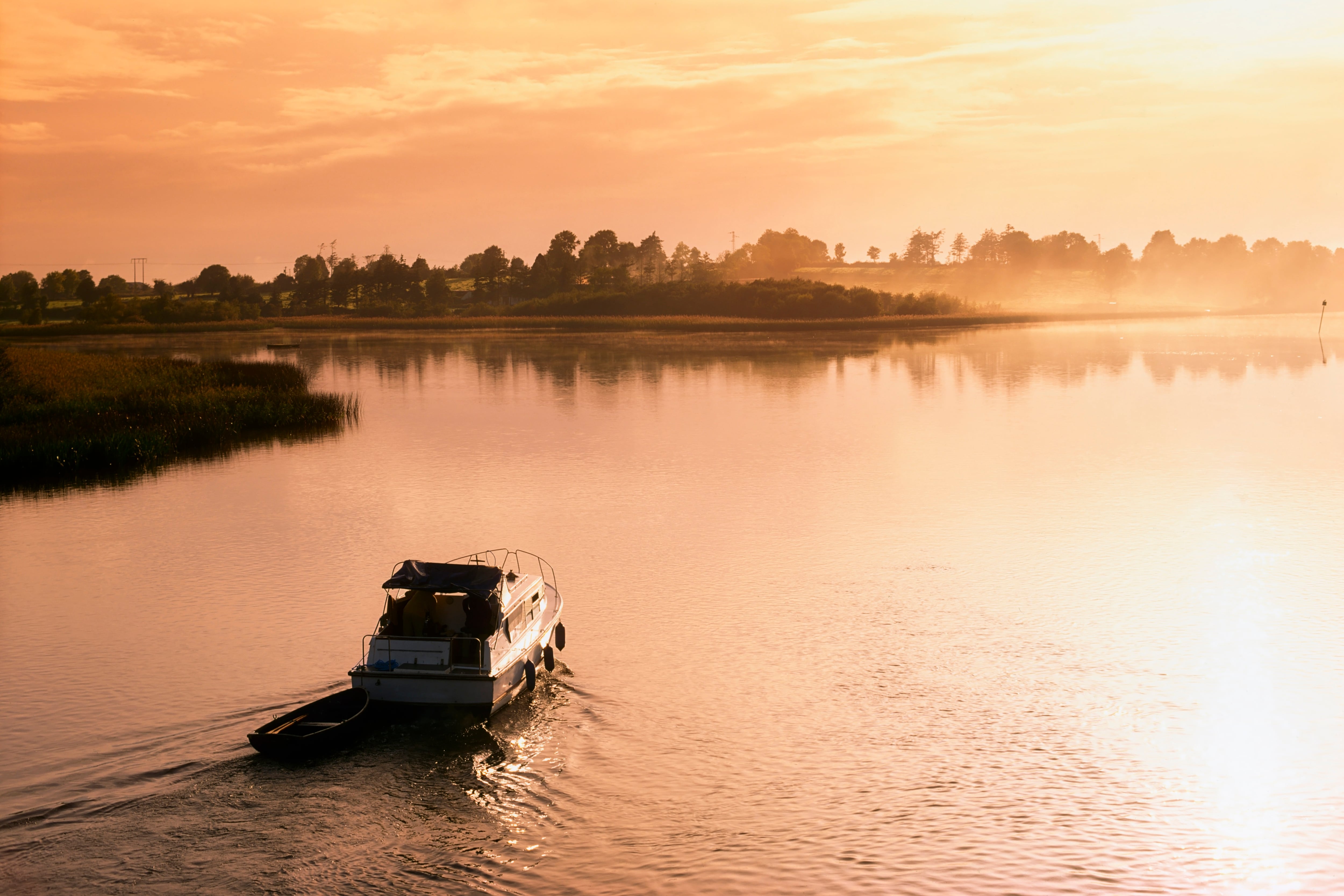 Let’s be ambitious for a plan to establish a real record of the majestic Shannon’s condition