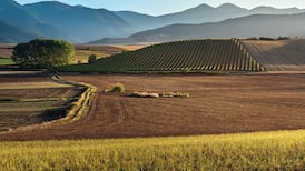 Spain braces for intense heatwave with temperatures to exceed 42C