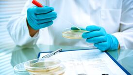 Listeriosis outbreak ‘unusual’ as ready meals must be cooked, and bacteria is sensitive to heat, professor says