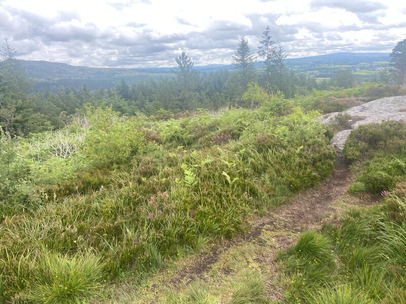 Union Rock, Sligo, is near Ballysadare and leads to a lovely viewing point. 