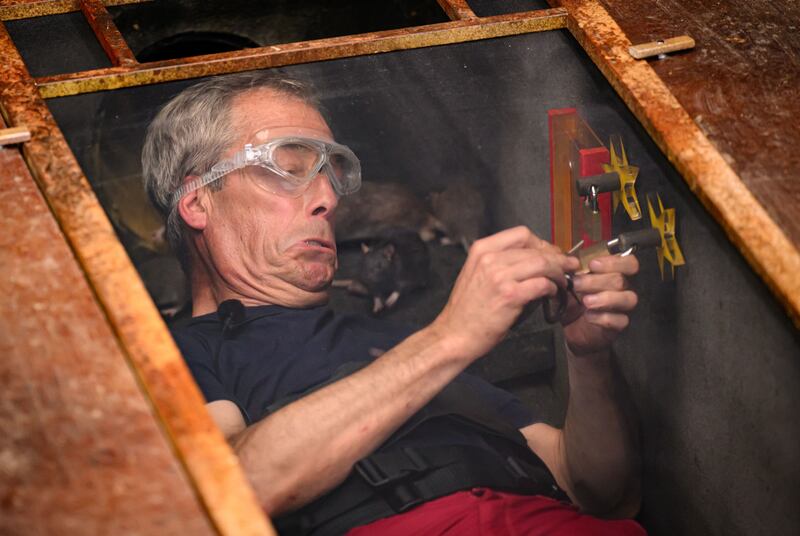 Nigel Farage has been careful since his I’m A Celebrity exit to repeat a 'never say never' mantra when asked whether he plans to return to frontline politics. Photograph: James Gourley/ITV/Shutterstock
