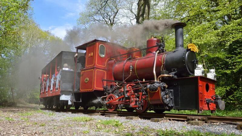 Looking a little different from its working life, No 2 now enjoys a more leisurely retirement on the Stradbally Woodland Railway in Co Laois. The engine pulls passenger trains on the 1km long volunteer-run line every bank holiday weekend and a number of other selected weekends during the summer. Photograph: Kieran Marshall