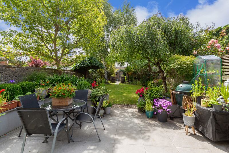 Back garden
