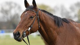 Envoi Allen set for new campaign after successful surgery