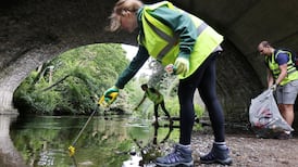 Source of south Dublin pandemic solace gets a deserved clean-up