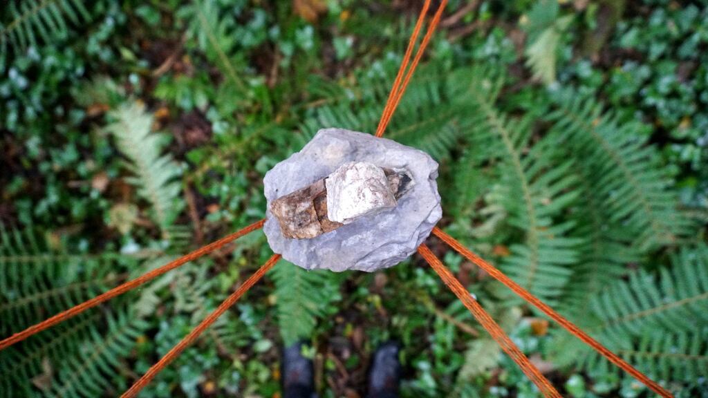 Floating Stones, from Silva 2018, a site-responsive residency and exhibition at Knockomagh Wood nature reserve by Lough Hyne, west Cork. Photograph Fellipe Lopes