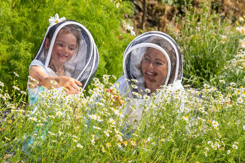 Waterford Honey Show. Photograph: Patrick Browne