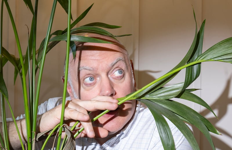 Dara Ó Briain: 'I’m a man, I can’t manage family at the best of times.' Photograph: Nicola Tree
