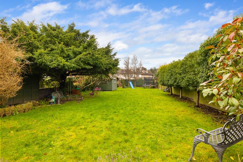 Back garden
