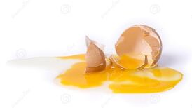 Woman who slipped on broken eggs loses €38,000 claim