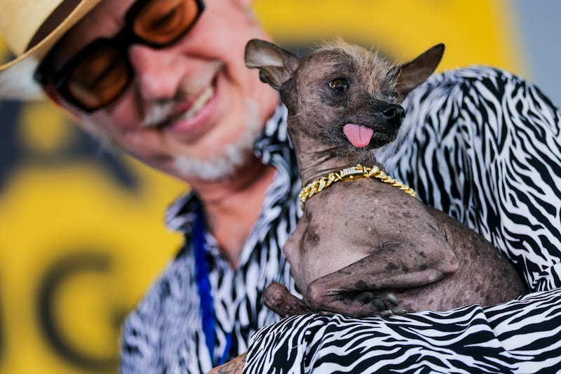 World's Ugliest Dog Contest: Little Prince with owner Christopher Wonder. Photograph: Heather Diehl/Getty Images