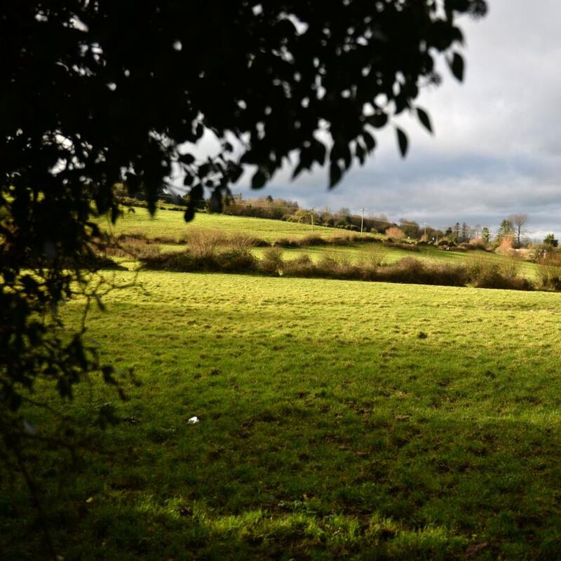 1999, Roscrea, Co Tippery: the field behind Cois Carrig housing estate where a group of boys found Baby John. Photograph: Dara Mac Dónaill/The Irish Times