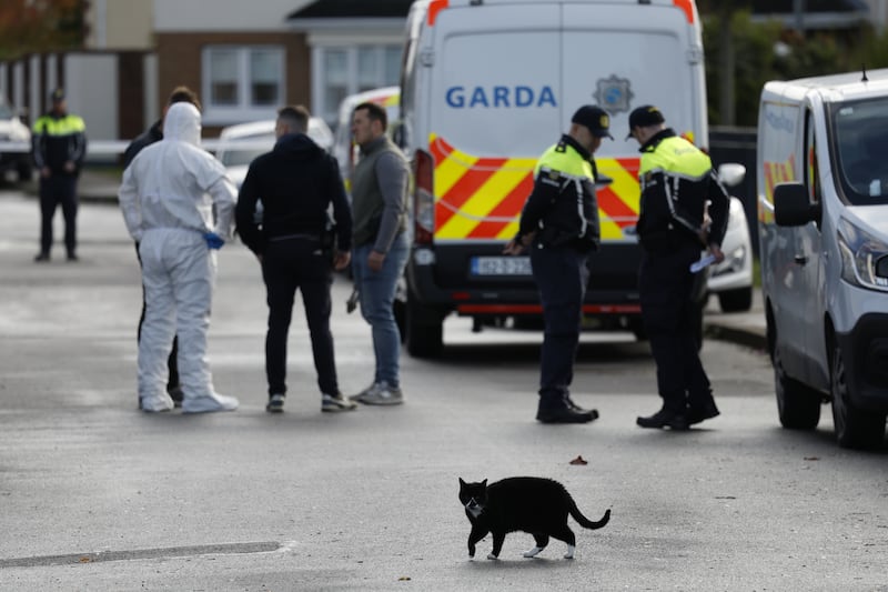 Gardaí at the scene in Finglas where the deaths of a child and a man are being investigated. Photograph Nick Bradshaw