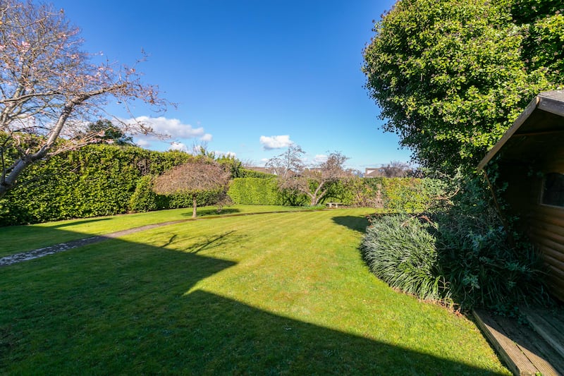 Back garden