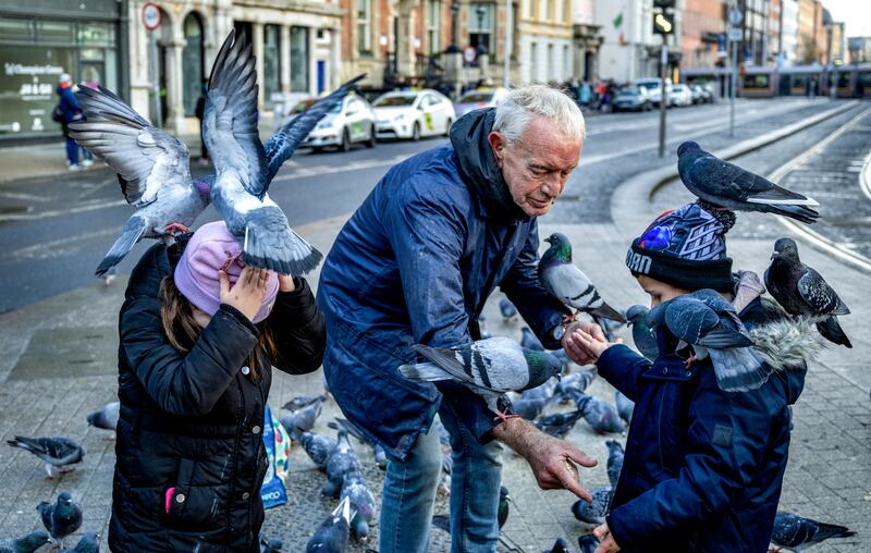 Daniel Holtzschlag, a retired German economist known as 'the pigeon man' on St Stephen’s Green. Photograph: Deanne Fitzmaurice