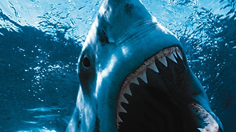 Jaws: the first director of the famous movie was fired.
