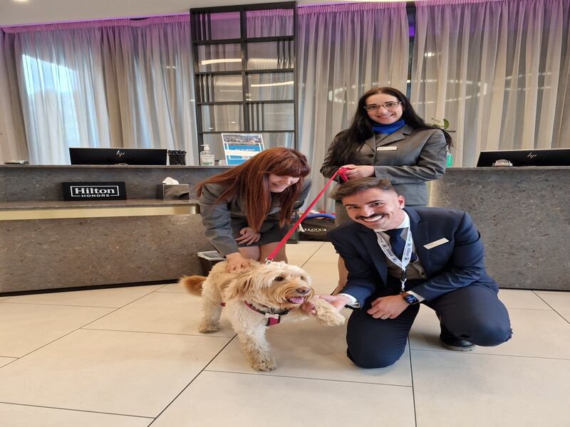 Furry friends receive a warm welcome on check-in, with drinks and snacks for both owners and VIPs - Very Important Pets. 
