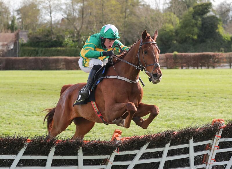 Capodanno may still have his best in front of him judged by a victory at Cheltenham in January. Photograph: Caroline Norris/Inpho