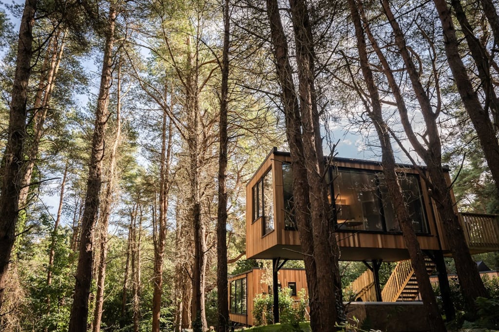 Burrenmore Nest Treetop Lodges Limavady, Co Derry