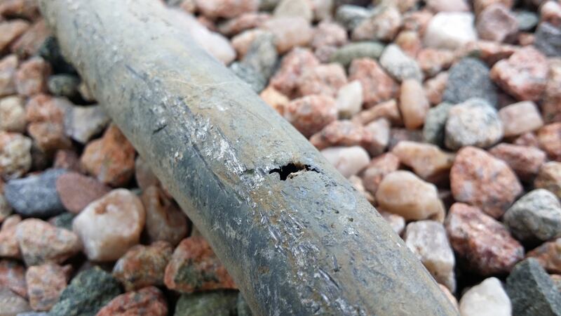 Lead piping excavated from the driveway of a home in Sandymount, Dublin, after it ruptured and caused a leak. Uptake of grants to replace private lead pipes has been low.  File photograph: Frank Miller