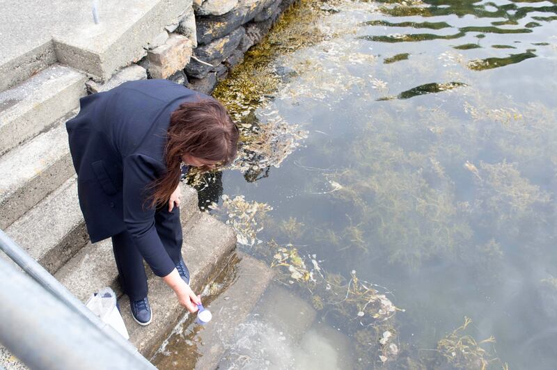 Kay Reynolds, sister of Ian Bailey, disperses his ashes at Skeaghanore pier in west Cork on Friday. Photograph: Michael Mac Sweeney/Provision