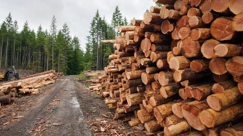 Today, forests span 11 per cent of the State