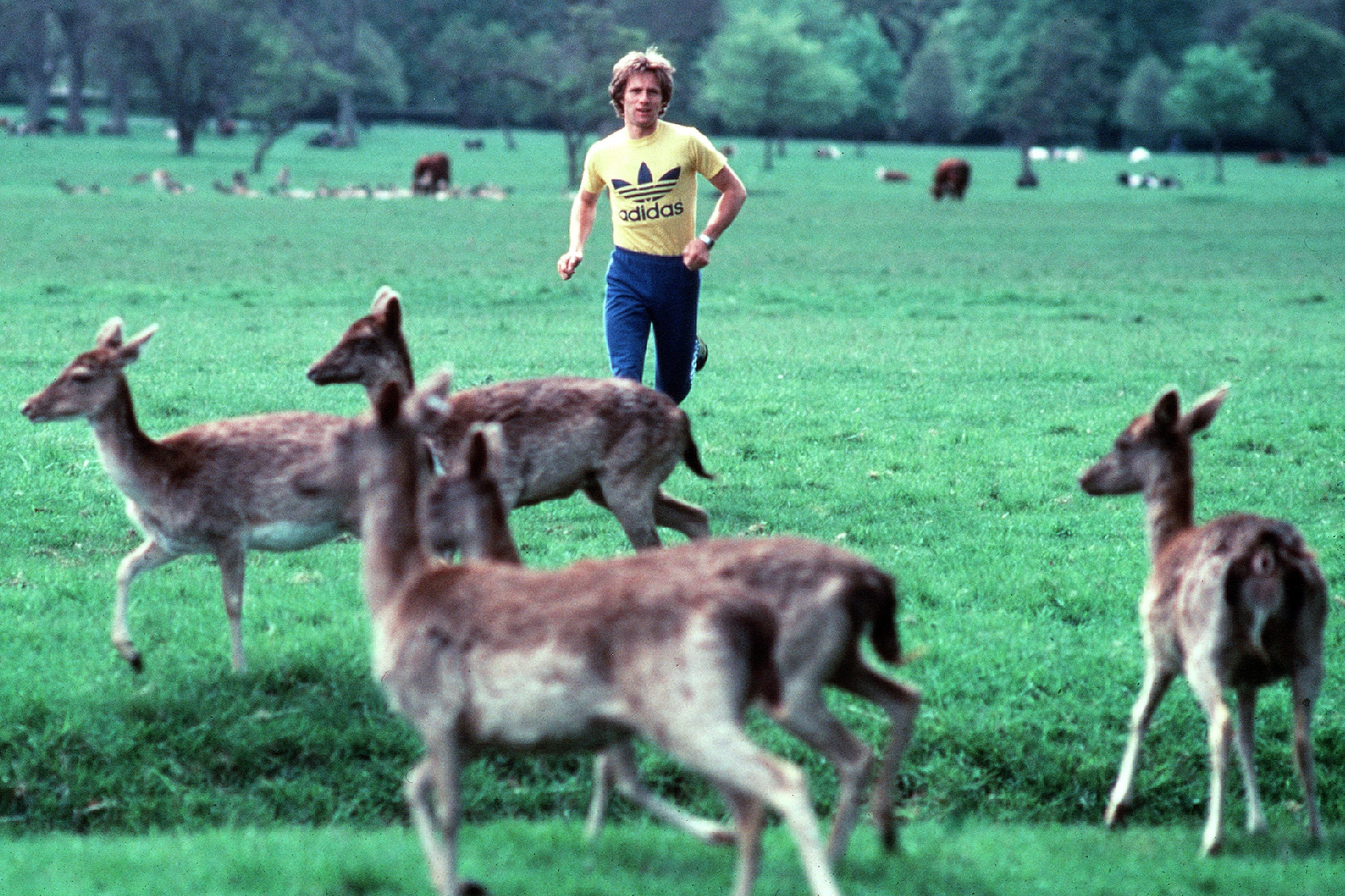 The story of Donore Harriers: Kings of cross-country, lords of the track