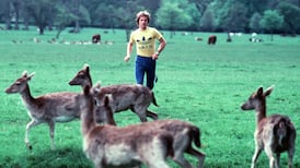 The story of Donore Harriers: Kings of cross-country, lords of the track