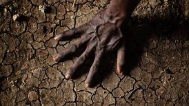 Ireland set to meet 2025 target of €225m in aid for climate-vulnerable countries, says Tánaiste