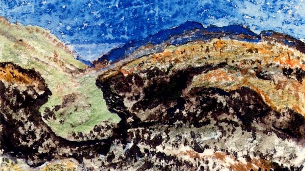 Upland peat. Illustration: Michael Viney