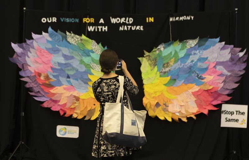 An attendee takes a photo of messages arranged as wings during the Cop15 UN Biodiversity Conference in Montreal. Photograph: Christinne Muschi/Bloomberg